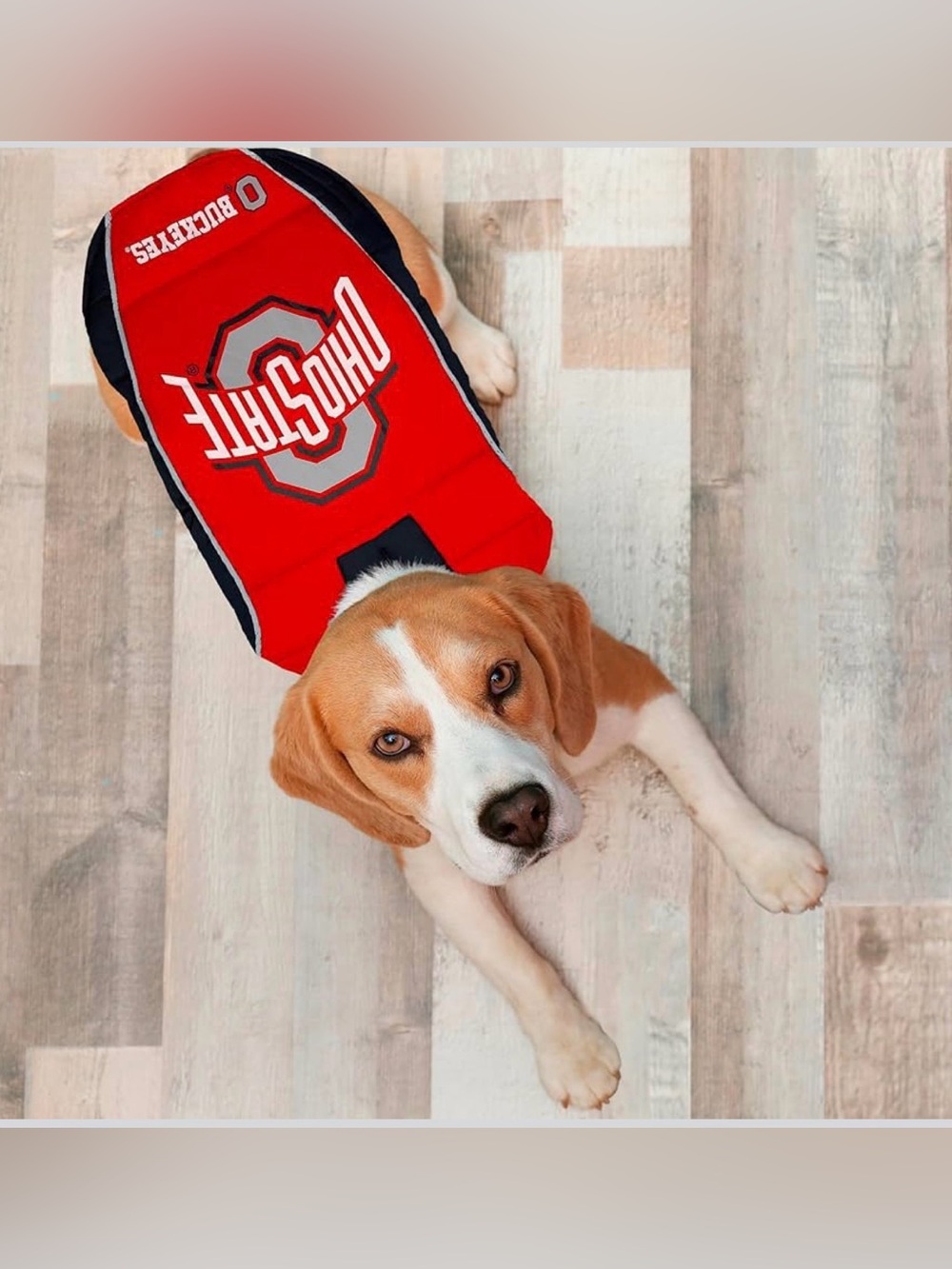 Pets First Red Ohio State Dog Vest/Jacket with Black Trim